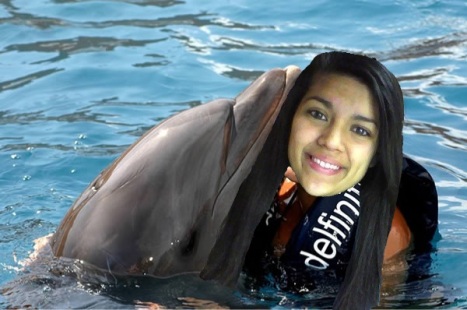 swimming with dolphins - Briana
